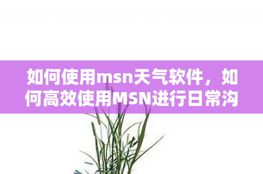 如何使用msn天气软件，如何高效使用MSN进行日常沟通与工作协作
