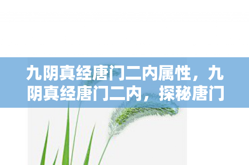九阴真经唐门二内属性,九阴真经唐门二内,探秘唐门秘技,领略武侠精髓 九阴真经唐门二内属性,九阴真经唐门二内,探秘唐门秘技,领略武侠精髓