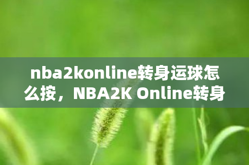 nba2konline转身运球怎么按,NBA2K Online转身技巧,掌握华丽转身,提升实战能力 nba2konline转身运球怎么按,NBA2K Online转身技巧,掌握华丽转身,提升实战能力