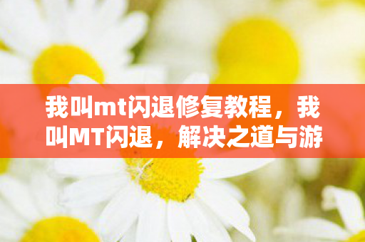 我叫mt闪退修复教程,我叫MT闪退,解决之道与游戏乐趣的探讨 我叫mt闪退修复教程,我叫MT闪退,解决之道与游戏乐趣的探讨