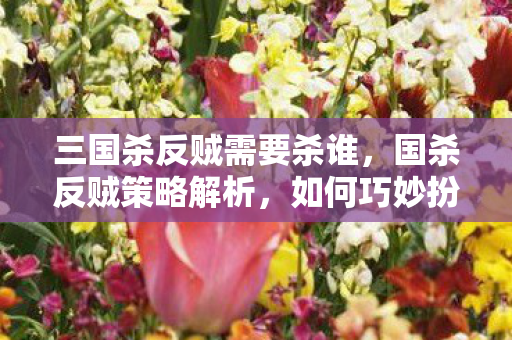三国杀反贼需要杀谁，国杀反贼策略解析，如何巧妙扮演反贼角色