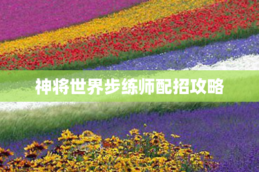 神将世界步练师配招攻略 神将世界步练师配招攻略