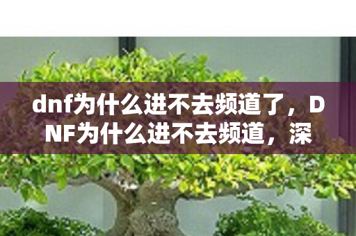 dnf为什么进不去频道了,DNF为什么进不去频道,深度解析与解决方案 dnf为什么进不去频道了,DNF为什么进不去频道,深度解析与解决方案