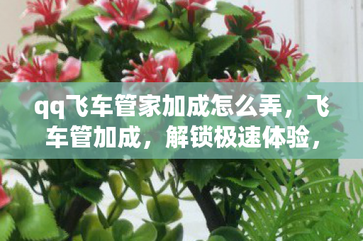 qq飞车管家加成怎么弄，飞车管加成，解锁极速体验，畅享无限可能