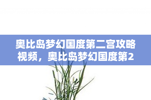 奥比岛梦幻国度第二宫攻略视频,奥比岛梦幻国度第2宫攻略 奥比岛梦幻国度第二宫攻略视频,奥比岛梦幻国度第2宫攻略