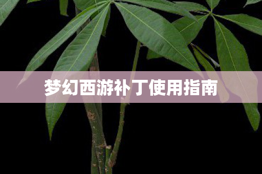 梦幻西游补丁使用指南