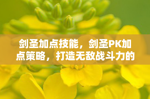 剑圣加点技能,剑圣PK加点策略,打造无敌战斗力的关键 剑圣加点技能,剑圣PK加点策略,打造无敌战斗力的关键