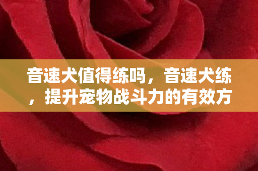 音速犬值得练吗,音速犬练,提升宠物战斗力的有效方法 音速犬值得练吗,音速犬练,提升宠物战斗力的有效方法