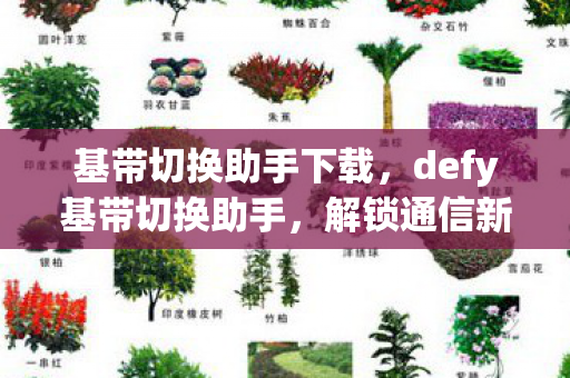基带切换助手下载，defy基带切换助手，解锁通信新境界