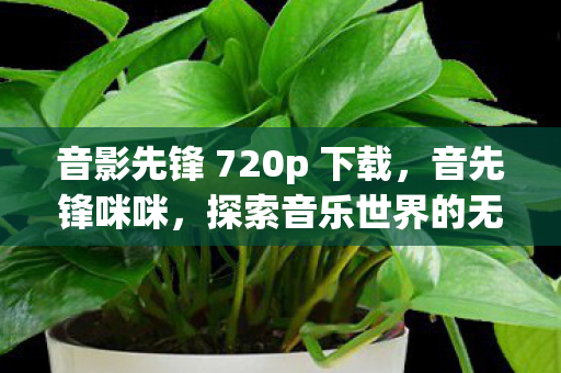 音影先锋 720p 下载,音先锋咪咪,探索音乐世界的无限可能 音影先锋 720p 下载,音先锋咪咪,探索音乐世界的无限可能