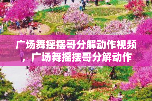 广场舞摇摆哥分解动作视频,广场舞摇摆哥分解动作 广场舞摇摆哥分解动作视频,广场舞摇摆哥分解动作