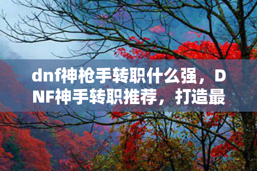 dnf神枪手转职什么强,DNF神手转职推荐,打造最强战斗力的职业选择 dnf神枪手转职什么强,DNF神手转职推荐,打造最强战斗力的职业选择