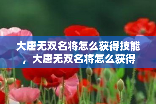 大唐无双名将怎么获得技能，大唐无双名将怎么获得