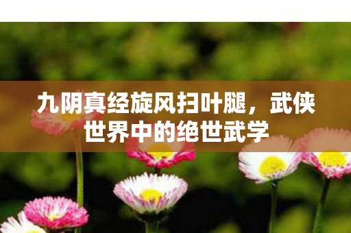 九阴真经旋风扫叶腿,武侠世界中的绝世武学 九阴真经旋风扫叶腿,武侠世界中的绝世武学