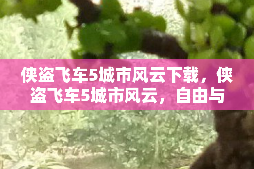 侠盗飞车5城市风云下载,侠盗飞车5城市风云,自由与正义的碰撞 侠盗飞车5城市风云下载,侠盗飞车5城市风云,自由与正义的碰撞
