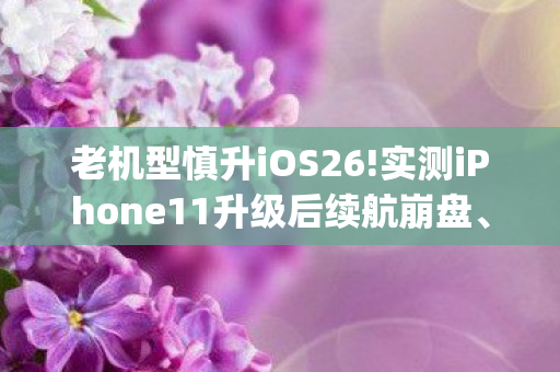老机型慎升iOS26!实测iPhone11升级后续航崩盘、性,老机app,经典游戏的新生命 老机型慎升iOS26!实测iPhone11升级后续航崩盘、性,老机app,经典游戏的新生命