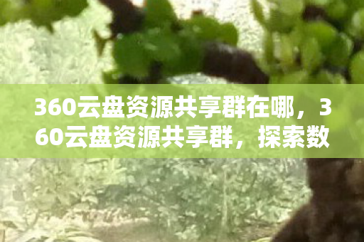 360云盘资源共享群在哪,360云盘资源共享群,探索数字时代的资源共享新生态 360云盘资源共享群在哪,360云盘资源共享群,探索数字时代的资源共享新生态