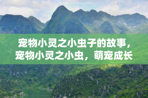 宠物小灵之小虫子的故事,宠物小灵之小虫,萌宠成长记 宠物小灵之小虫子的故事,宠物小灵之小虫,萌宠成长记