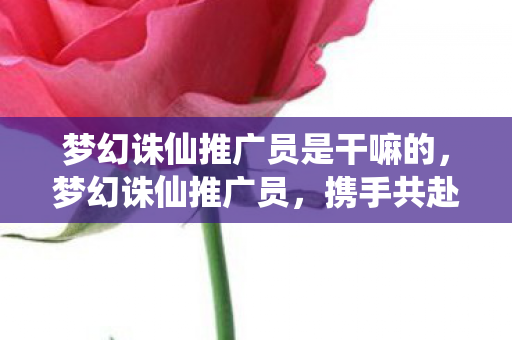 梦幻诛仙推广员是干嘛的，梦幻诛仙推广员，携手共赴仙途，探索无限可能
