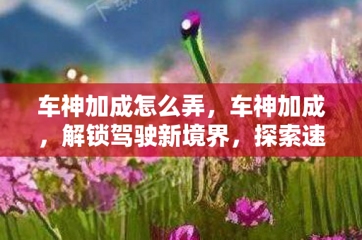 车神加成怎么弄,车神加成,解锁驾驶新境界,探索速度与激情的无限可能 车神加成怎么弄,车神加成,解锁驾驶新境界,探索速度与激情的无限可能