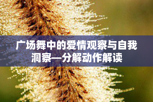 广场舞中的爱情观察与自我洞察—分解动作解读 广场舞中的爱情观察与自我洞察—分解动作解读
