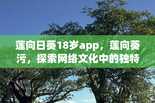 莲向日葵18岁app,莲向葵污,探索网络文化中的独特现象 莲向日葵18岁app,莲向葵污,探索网络文化中的独特现象