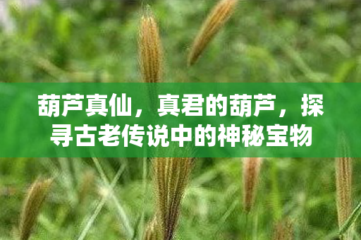葫芦真仙,真君的葫芦,探寻古老传说中的神秘宝物 葫芦真仙,真君的葫芦,探寻古老传说中的神秘宝物
