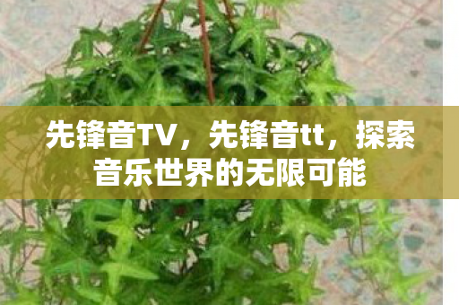 先锋音TV,先锋音tt,探索音乐世界的无限可能 先锋音TV,先锋音tt,探索音乐世界的无限可能