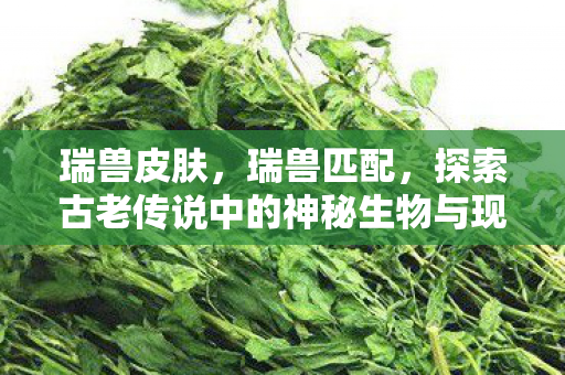 瑞兽皮肤,瑞兽匹配,探索古老传说中的神秘生物与现代科技的融合 瑞兽皮肤,瑞兽匹配,探索古老传说中的神秘生物与现代科技的融合