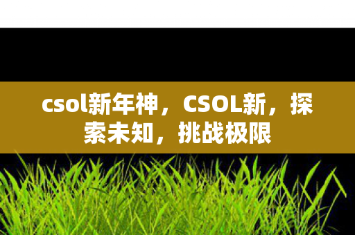 csol新年神,CSOL新,探索未知,挑战极限 csol新年神,CSOL新,探索未知,挑战极限