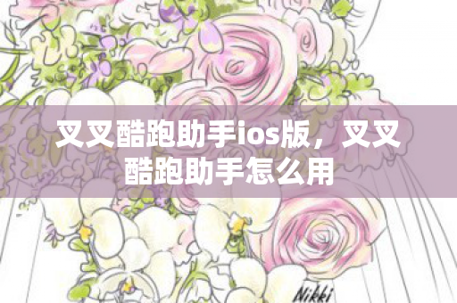 叉叉酷跑助手ios版,叉叉酷跑助手怎么用 叉叉酷跑助手ios版,叉叉酷跑助手怎么用