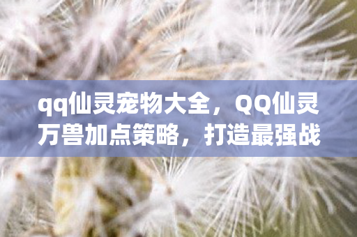 qq仙灵宠物大全,QQ仙灵万兽加点策略,打造最强战斗宠物 qq仙灵宠物大全,QQ仙灵万兽加点策略,打造最强战斗宠物