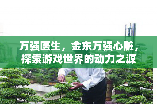 万强医生,金东万强心脏,探索游戏世界的动力之源 万强医生,金东万强心脏,探索游戏世界的动力之源