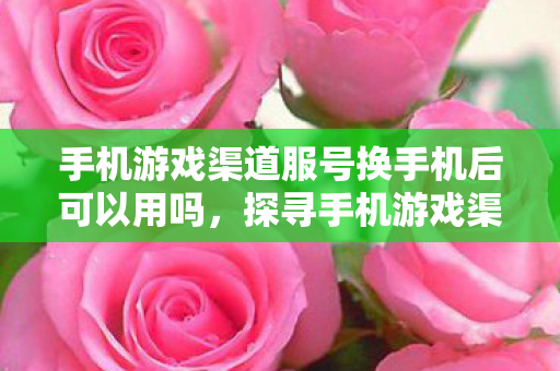 手机游戏渠道服号换手机后可以用吗,探寻手机游戏渠道的多样性与未来趋势 手机游戏渠道服号换手机后可以用吗,探寻手机游戏渠道的多样性与未来趋势