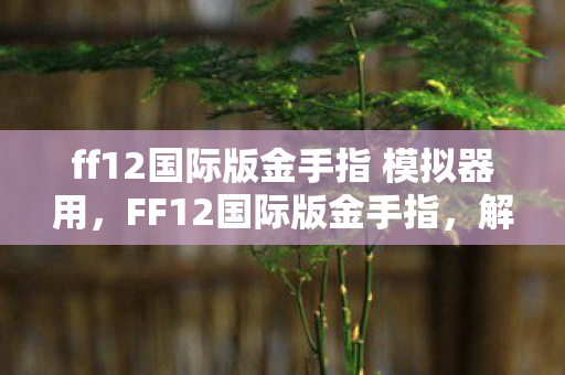 ff12国际版金手指 模拟器用,FF12国际版金手指,解锁游戏潜能的神奇工具 ff12国际版金手指 模拟器用,FF12国际版金手指,解锁游戏潜能的神奇工具
