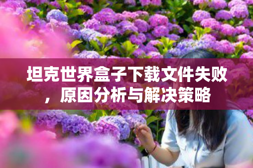 坦克世界盒子下载文件失败，原因分析与解决策略