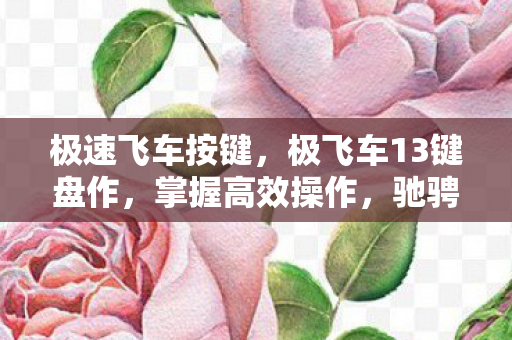 极速飞车按键，极飞车13键盘作，掌握高效操作，驰骋虚拟赛道