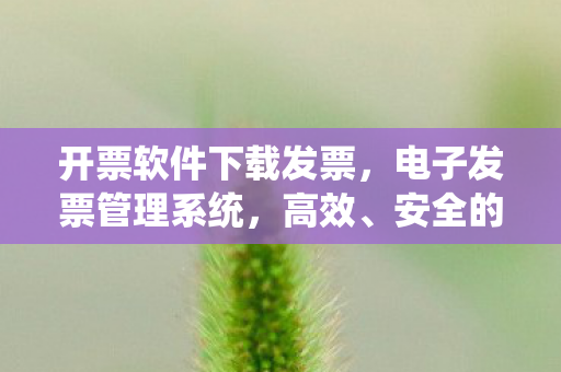 开票软件下载发票，电子发票管理系统，高效、安全的开票软件下载与应用