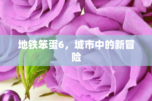 地铁笨蛋6,城市中的新冒险 地铁笨蛋6,城市中的新冒险