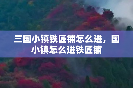 三国小镇铁匠铺怎么进，国小镇怎么进铁匠铺