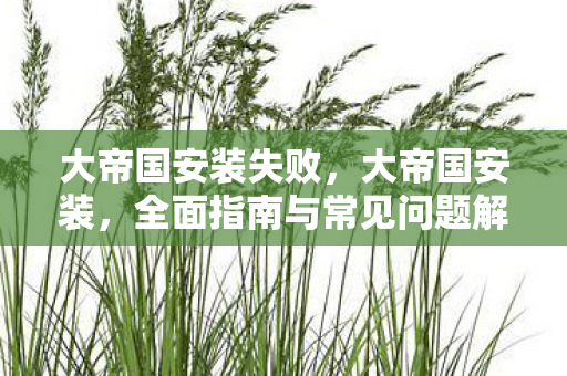 大帝国安装失败，大帝国安装，全面指南与常见问题解答