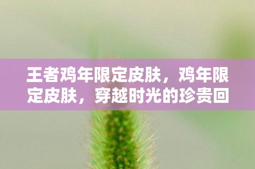王者鸡年限定皮肤,鸡年限定皮肤,穿越时光的珍贵回忆 王者鸡年限定皮肤,鸡年限定皮肤,穿越时光的珍贵回忆