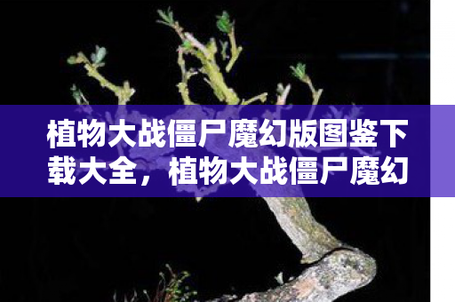 植物大战僵尸魔幻版图鉴下载大全,植物大战僵尸魔幻版图鉴,探索奇幻世界的植物与僵尸 植物大战僵尸魔幻版图鉴下载大全,植物大战僵尸魔幻版图鉴,探索奇幻世界的植物与僵尸