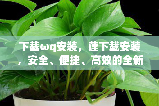 下载ωq安装,莲下载安装,安全、便捷、高效的全新体验 下载ωq安装,莲下载安装,安全、便捷、高效的全新体验