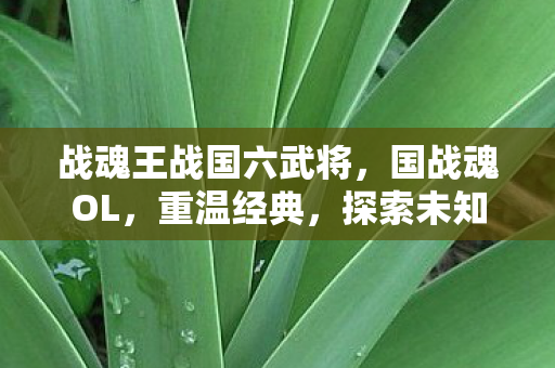战魂王战国六武将,国战魂OL,重温经典,探索未知 战魂王战国六武将,国战魂OL,重温经典,探索未知