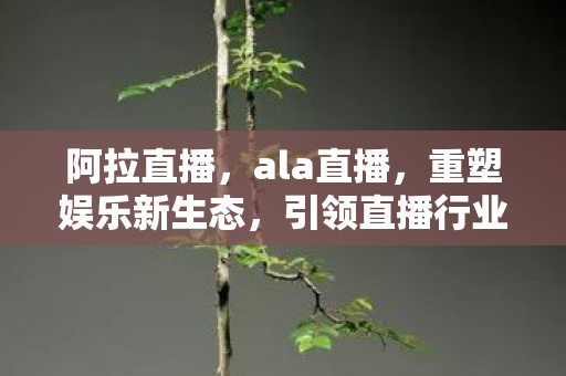 阿拉直播,ala直播,重塑娱乐新生态,引领直播行业新潮流 阿拉直播,ala直播,重塑娱乐新生态,引领直播行业新潮流