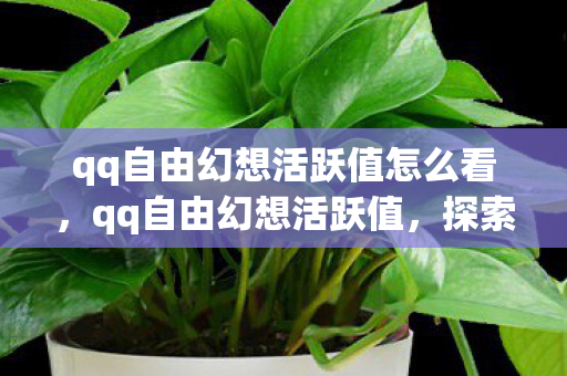 qq自由幻想活跃值怎么看，qq自由幻想活跃值，探索游戏社区的繁荣与未来