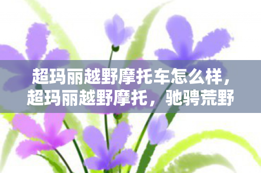 超玛丽越野摩托车怎么样,超玛丽越野摩托,驰骋荒野的激情与自由 超玛丽越野摩托车怎么样,超玛丽越野摩托,驰骋荒野的激情与自由