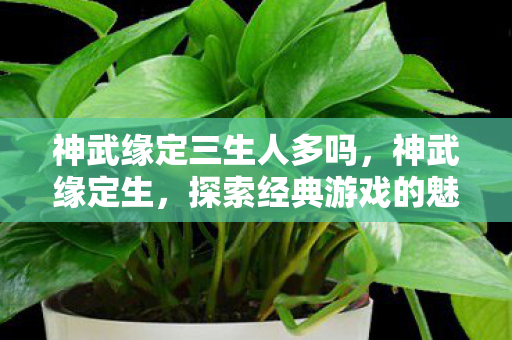神武缘定三生人多吗,神武缘定生,探索经典游戏的魅力与传承 神武缘定三生人多吗,神武缘定生,探索经典游戏的魅力与传承