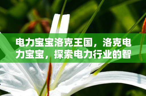 电力宝宝洛克王国,洛克电力宝宝,探索电力行业的智能守护者 电力宝宝洛克王国,洛克电力宝宝,探索电力行业的智能守护者